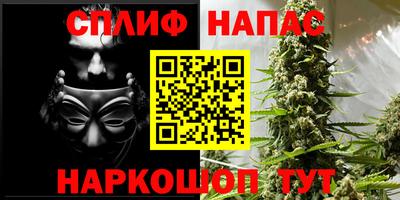 Альфа ПВП Будённовск