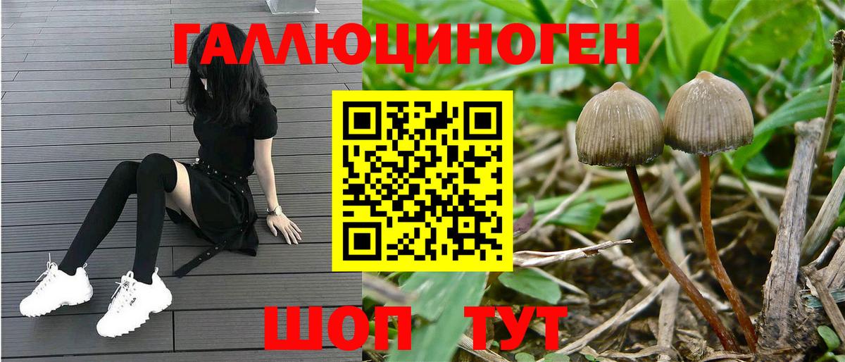 Псилоцибиновые грибы GOLDEN TEACHER Комсомольск-на-Амуре