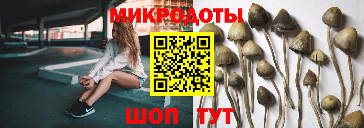 Комсомольск-на-Амуре  Псилоцибиновые грибы прущие грибы  купить наркотик  Вход с VPN 